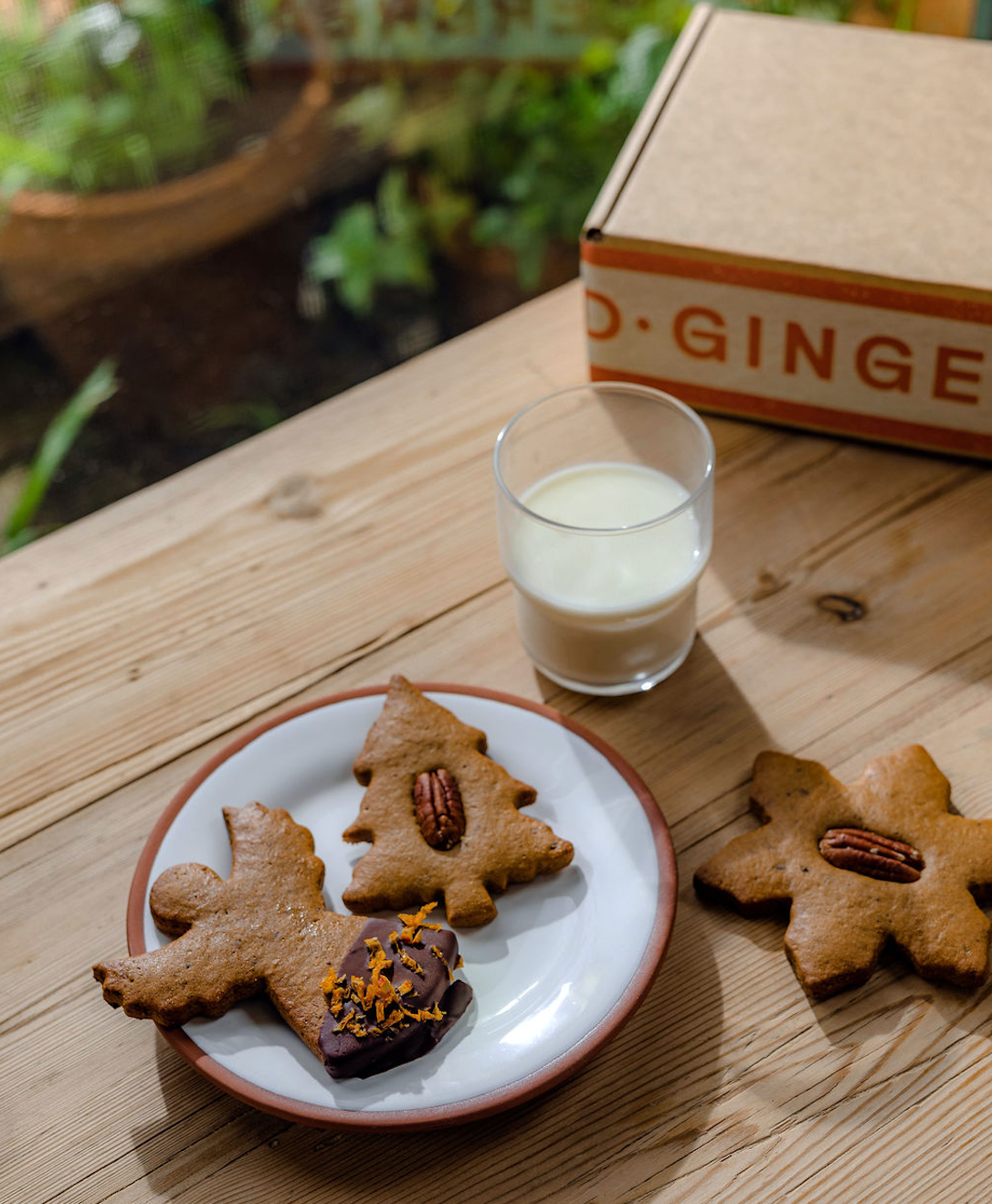 Gingerbread Dough 500g